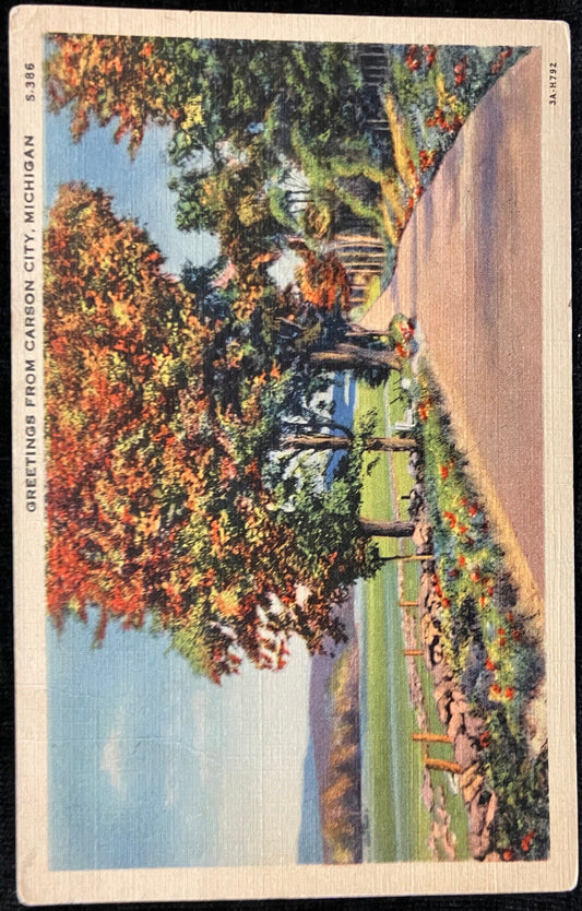 Greetings From Carson City, Michigan - Vintage Postcard