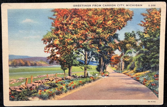 Greetings From Carson City, Michigan - Vintage Postcard