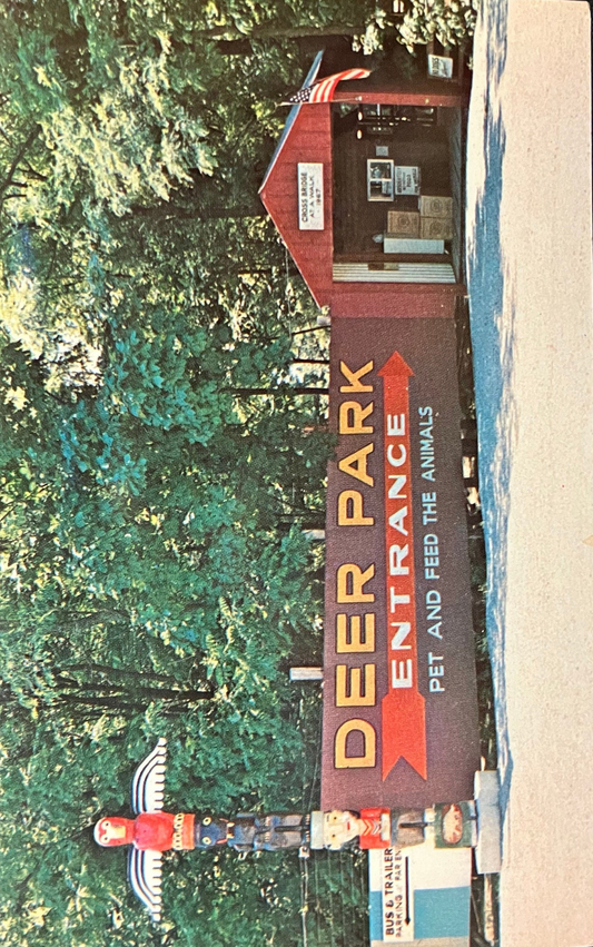 Deer Park Bridge in Scenic Parke County, Indiana - Photo: Mitchell -  Covered Bridge Postcard - Indiana Amusement Park -