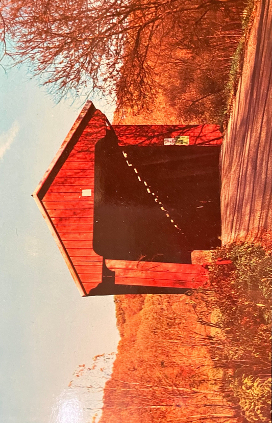 Busching Covered Brdige in Versailles, Indiana - Vintage Covered Bridge Postcard