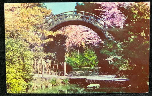 Japanese Tea Garden - San Francisco, California - Vintage Postcard