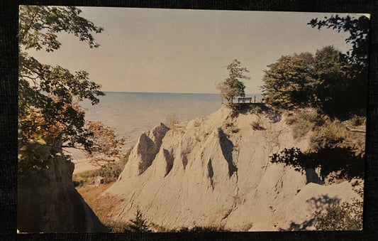 Ravine View - Windcliff House on the Bluffs of Lake Michigan - Photo by John D. Freeman - Vintage Scenic Postcard