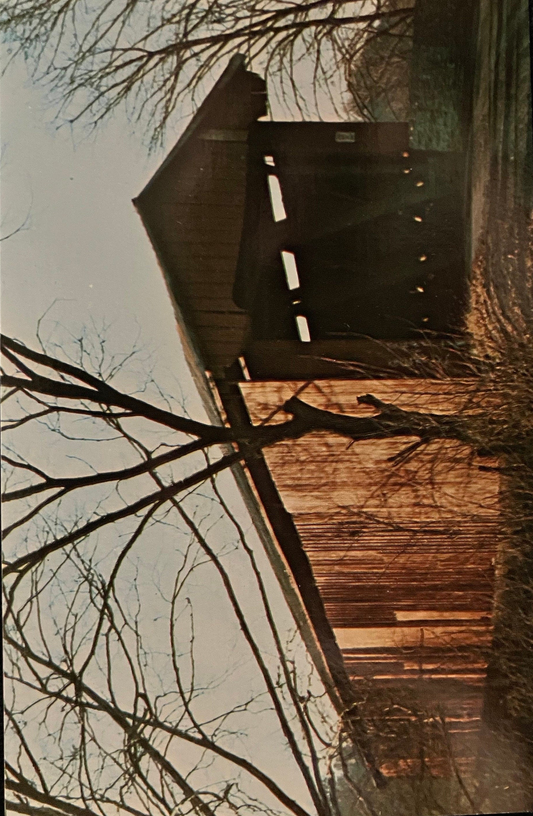 Busching Coverd Bridge in Ripley County, Indiana - Vintage Coverd Bridge Postcard