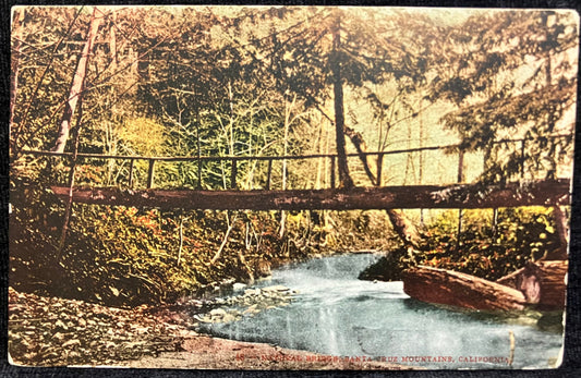 Natural Bridge - Santa Cruz Mountains, California. - Vintage Postcard
