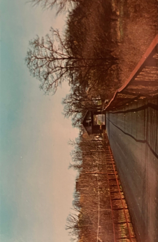 Brownsville Bridge in Union County, Indiana - Photo by John V. Pontiere Jr. - Vintage Covered Bridge Postcard
