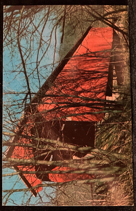 Busching Bridge in Ripley County, Indiana - Photo by Terry Miller - Vintage Covered Bridge Postcard