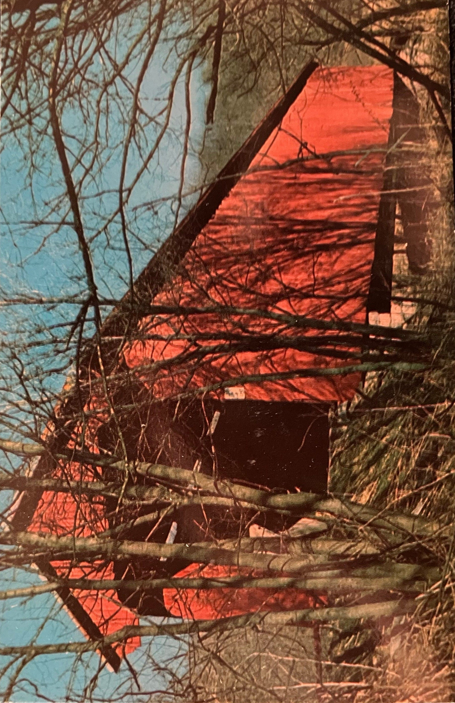 Busching Bridge in Ripley County, Indiana - Photo by Terry Miller - Vintage Covered Bridge Postcard