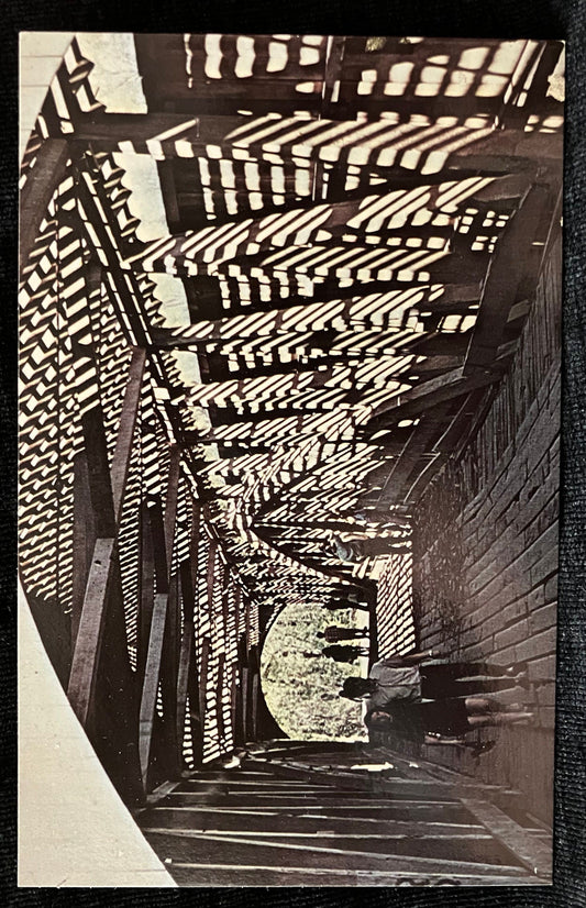 Narrows Bridge in Parke County, Indiana County, Indiana - Photo by Mitchell - Vintage Covered Bridge Postcard