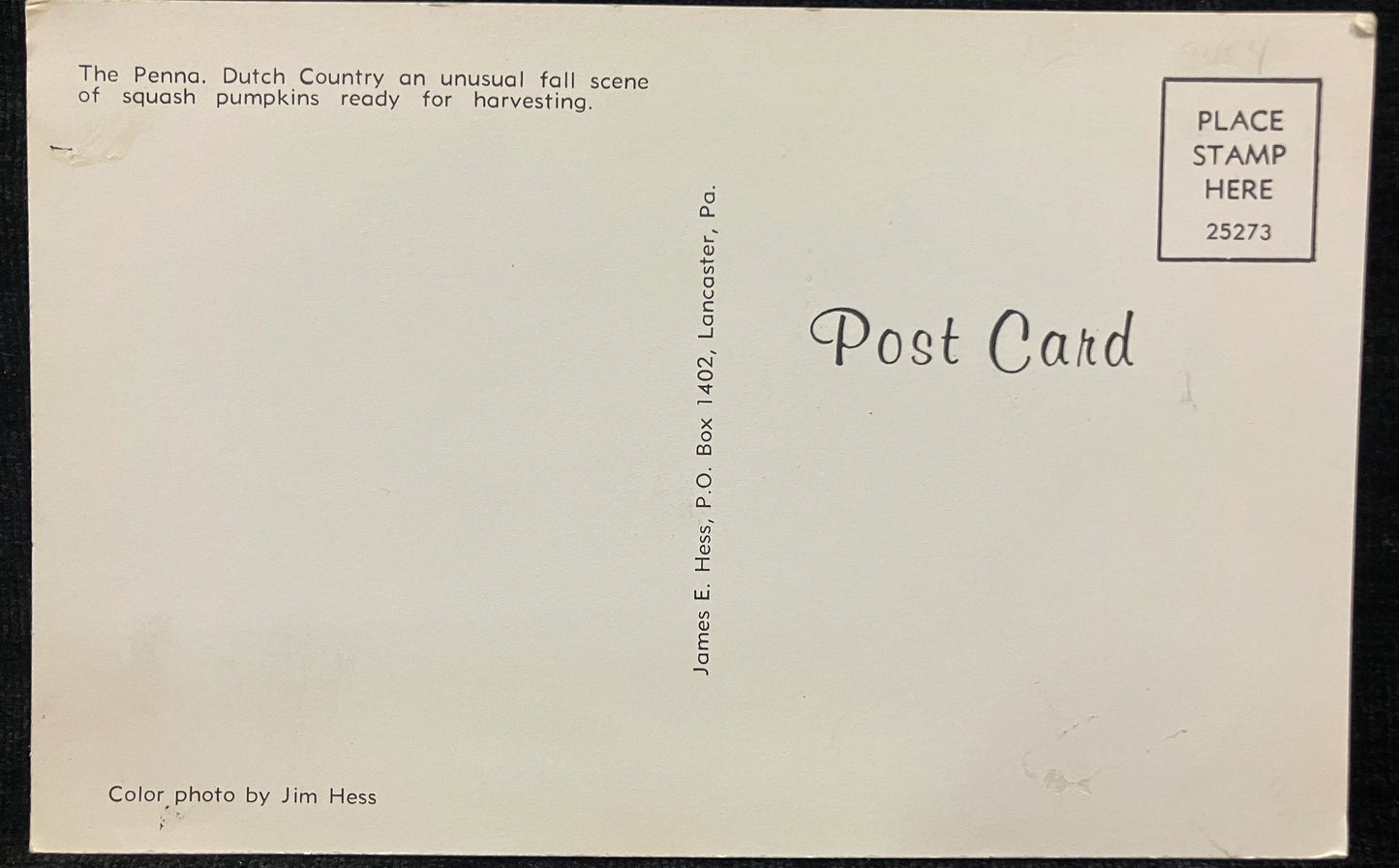 The Penna Dutch County - Photo: Jim Hess - Vintage Pumpkin Patch Postcard