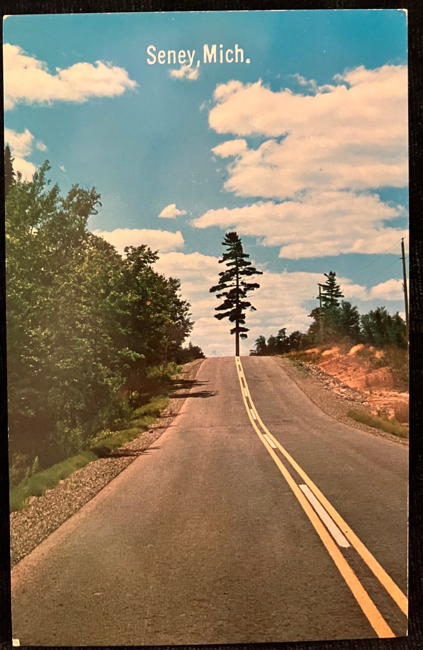 Seney, Michigan - Vintage Postcard