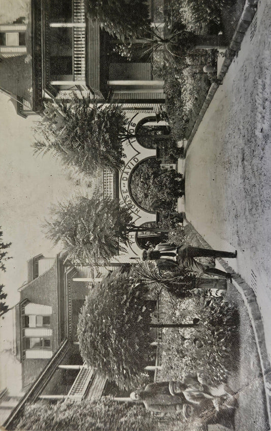 House of David - Benton Harbor, Michigan  - USA Postcard _ Religious Sect in Michigan - Began 1903 as Israelite House of David - Lake Mich