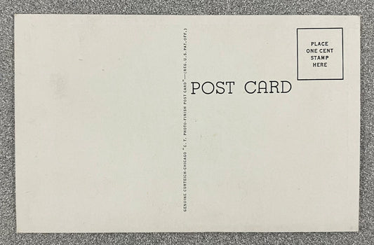 Martha Washington College, Abingdon, Virginia - Vintage Postcard