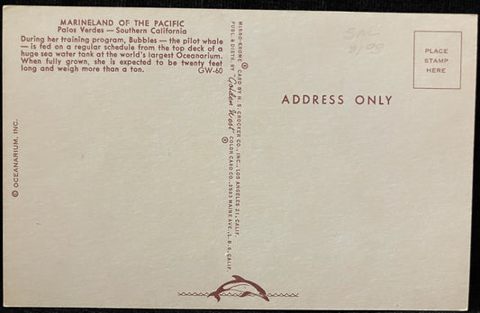 Marineland of the Pacific, Palos Verdes, in Southern California - Vintage Marine Life Postcard