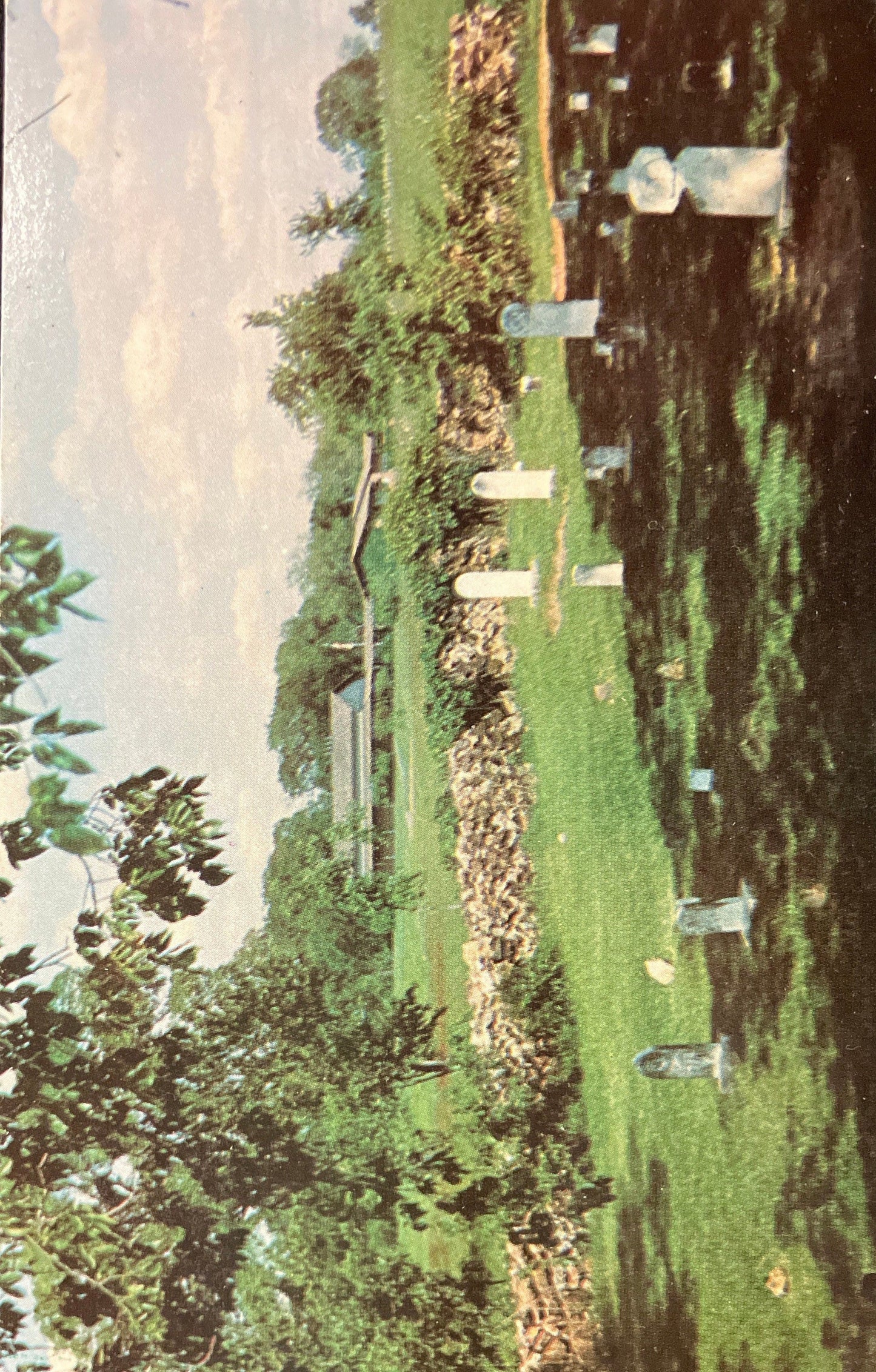 Moses Carver’s Family Cemetery - George Washington Carver National Monument in Missouri - Vintage Cemetery Postcard