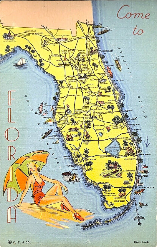 Come to Florida - Digital Art Print Download