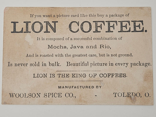 Botanical Illustration Pink And White Roses In Blue Vase - Lion Coffee Advertisement - Woolson Spice Co. Toledo Ohio