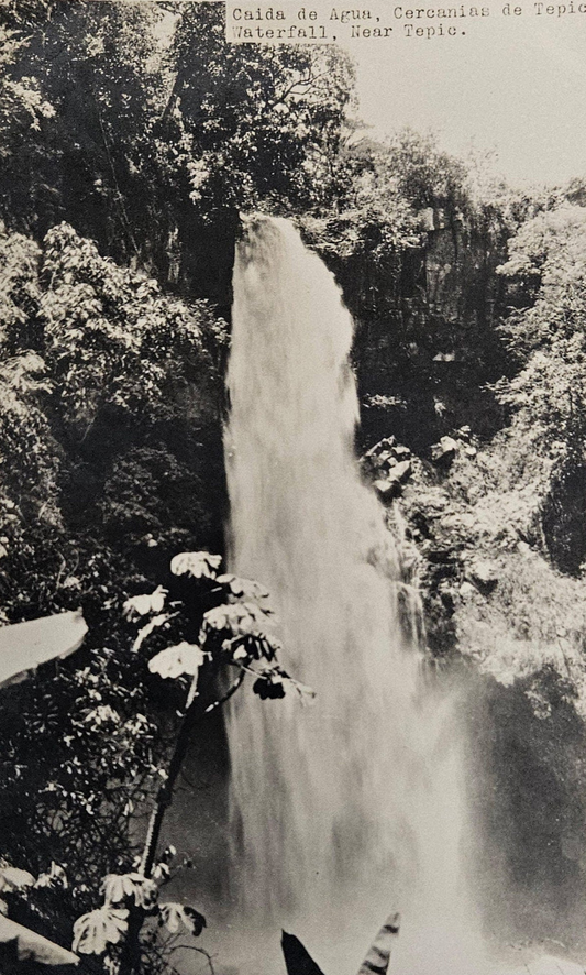 RPPC - January, 1925 - Tepic Mexico Caida De Agua Waterfall Rainforest - Real Photo Postcard - Black&white Photo of Tepic Mexico Rainforest.
