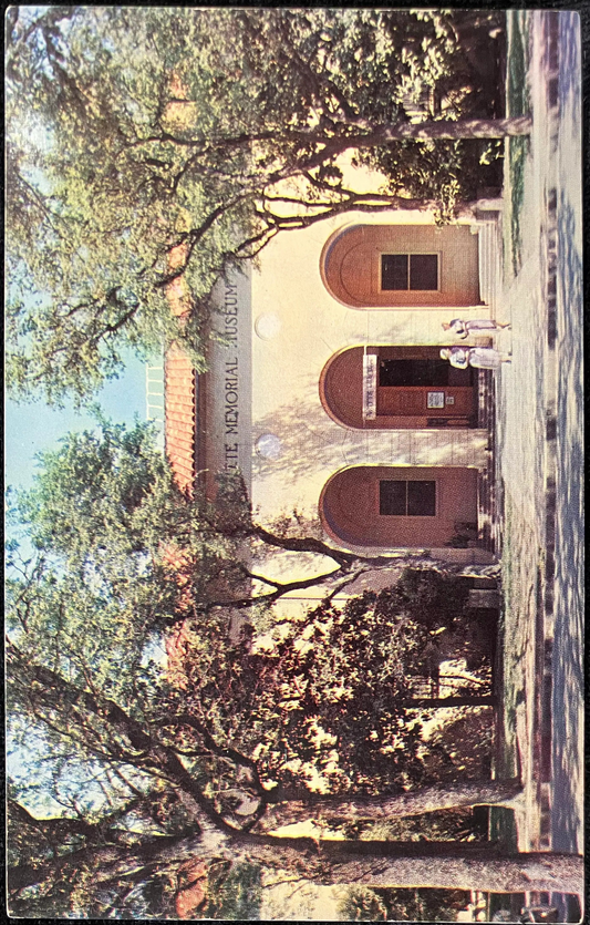 Witte Museum - Brackenridge Park, San Antonio, Texas - Color: L. E. Orr  - Vintage Museum Postcard