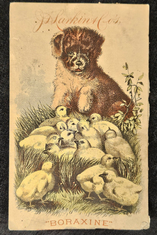 Boraxine Puppy And Baby Ducks - Trade Card J. D. Larkin And Co. -1882 Trade Card -Victorian Advertising Card- From old Scrap Book from 1800s