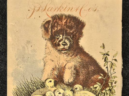 Boraxine Puppy And Baby Ducks - Trade Card J. D. Larkin And Co. -1882 Trade Card -Victorian Advertising Card- From old Scrap Book from 1800s