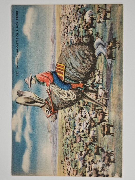 San Antonio Texas Postcard - "Punching Cattle On A Jack Rabbit - Texas 1950s Humorous Postcard