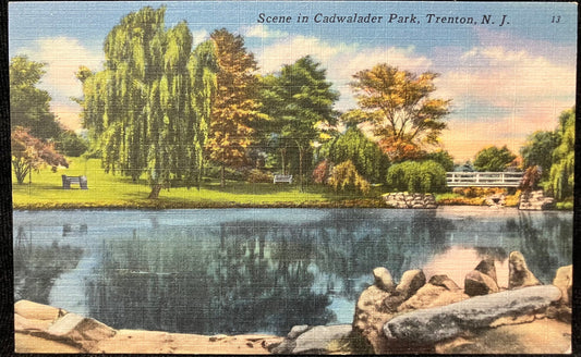 Scene in Cadwalader Park, Trenton, New Jersey - Vintage Park Postcard