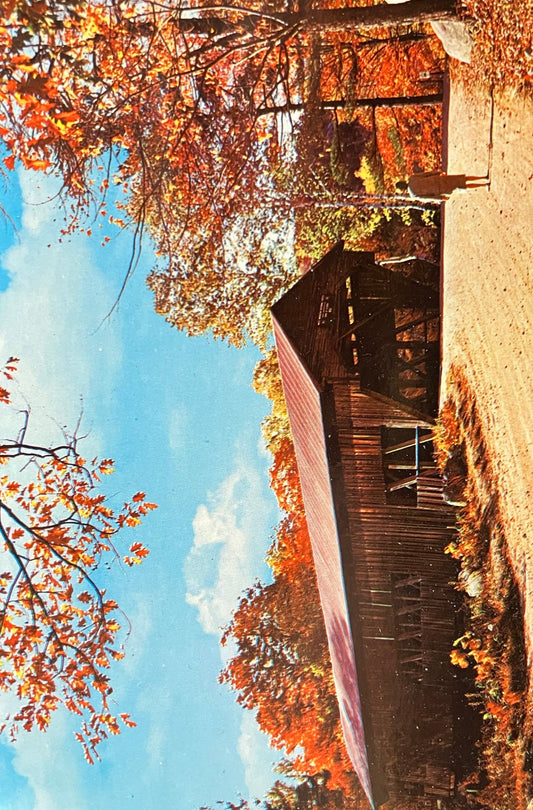 Covered Bridge - Ohio - Vintage Covered Bridge Postcard