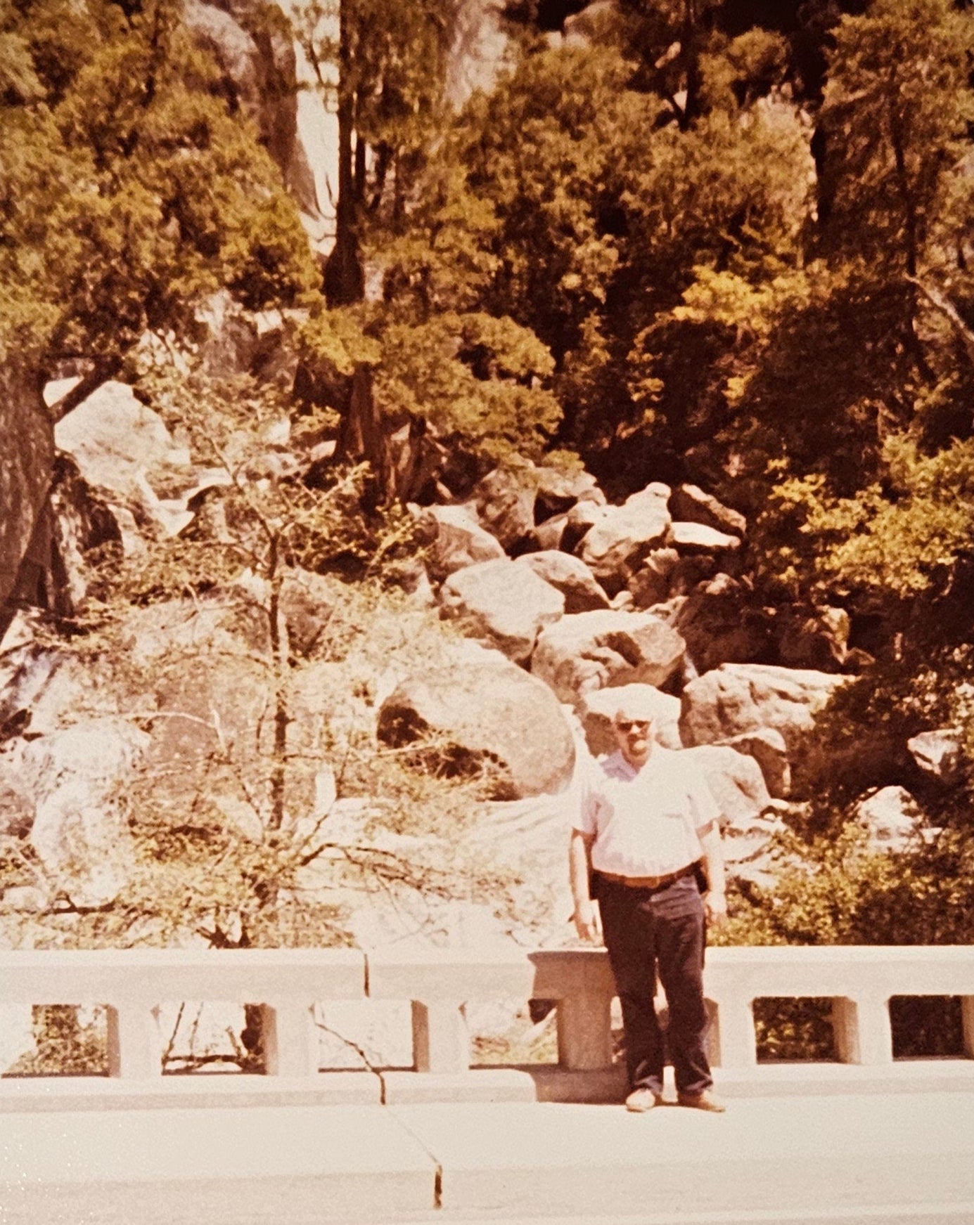 Two 1980s Photos Of Oldest Tree In Yosemite National Park - Family Trip - Sold as Set of two