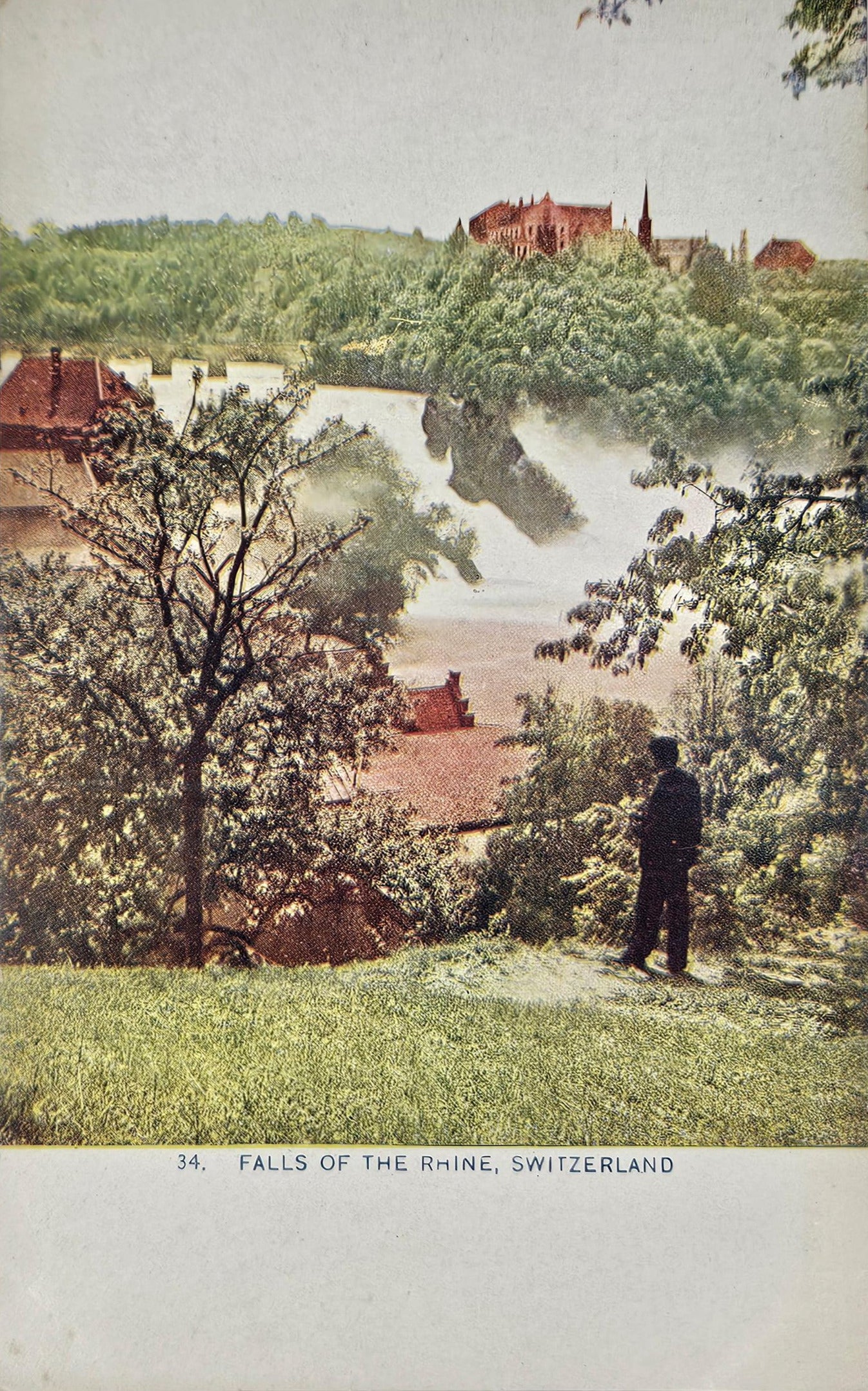 Falls Of The Rhine- Switzerland Waterfal - Nature Photo- Castle View Postcard
