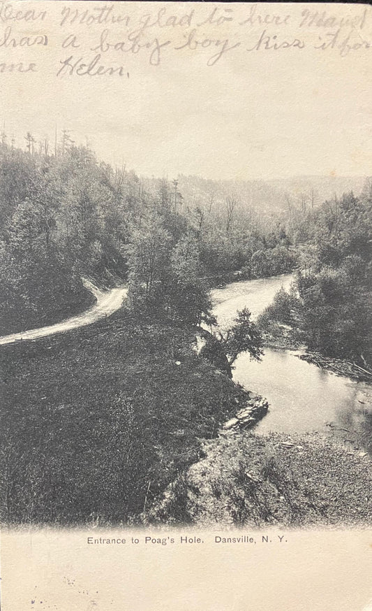 RPPC - Entrance to Poag's Hole - Dansville, New York - 1903 Postcard