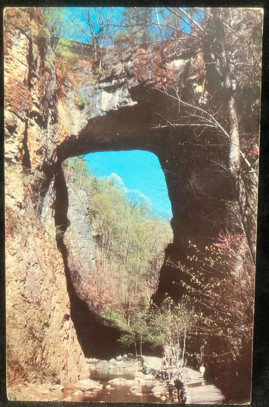 Natural Bridge, Virginia - Photo: Herbert Lanks - Vintage Landscape Postcard