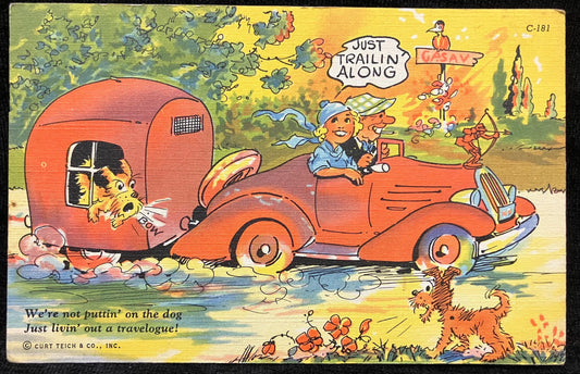 Cartoon Postcards - 1940s-50s - "Just livin' out a travelogue!" (card 1) - "I'm Down to Bare Essentials!" (card 2 )- Sold as a Set -Cartoons