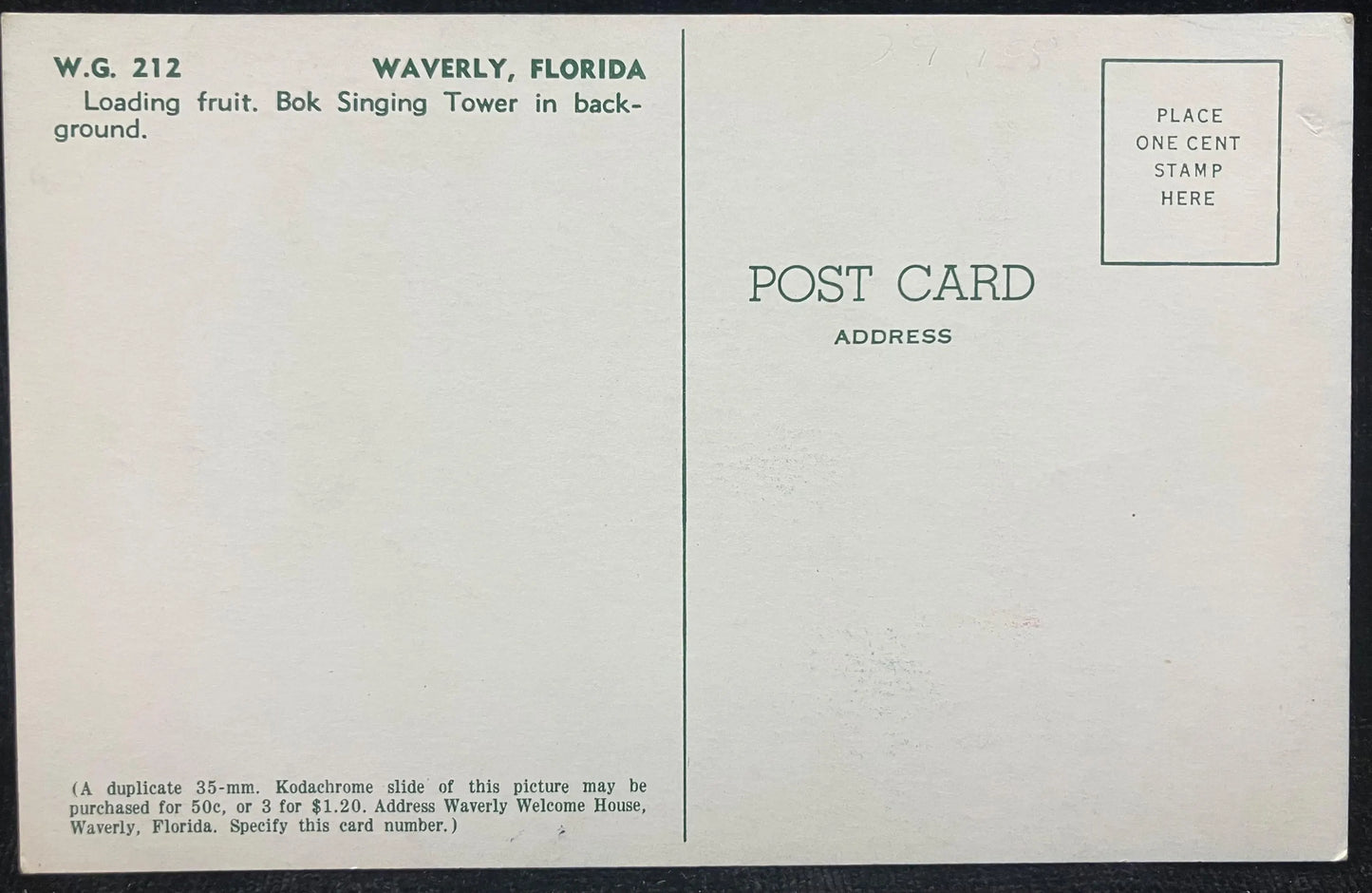 Loading Fruit at Waverly, Florida, Bok Singing Tower in Distance - Vintage Postcard
