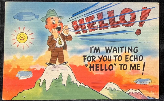 Cartoon Postcards - 1940s-50s - “I’m Waiting for you to Echo ‘Hello’ to Me!” - "It’s Time we Heard from You!" - Sold as Set of Two