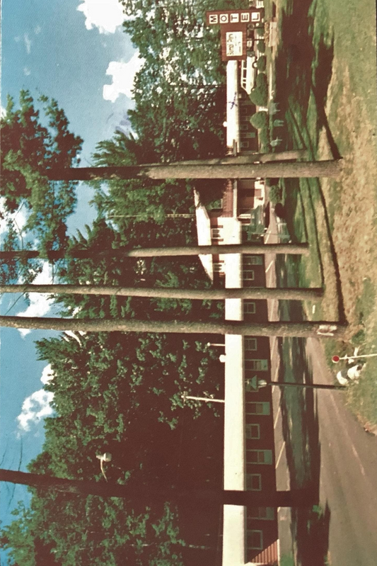 Bambi Park Motel Iron Mountain, Michigan - 1980s Vintage Postcard