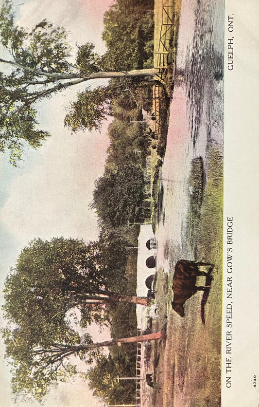 On the River Speed - Gow's Bridge - Guelph, Ont. - Printed in Canada - 1910 Bridge Postcard