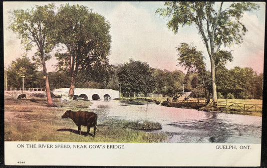 On the River Speed - Gow's Bridge - Guelph, Ont. - Printed in Canada - 1910 Bridge Postcard