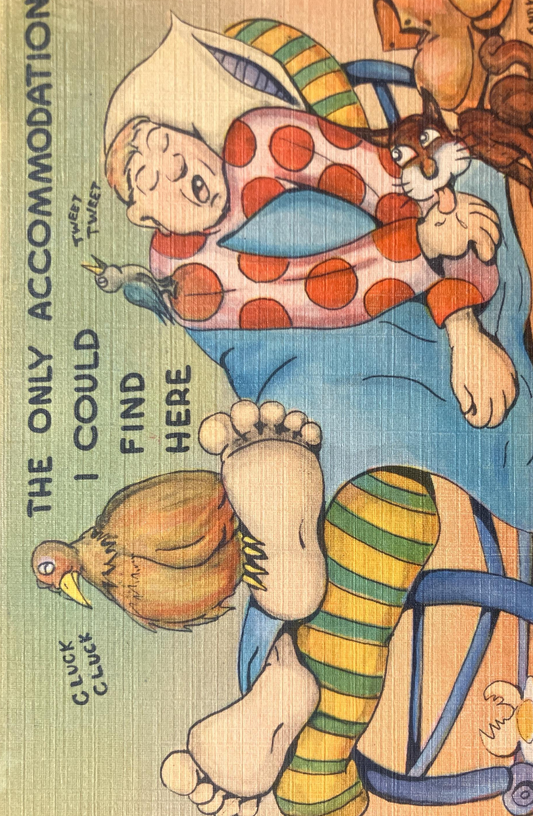 Andy - Cartoon Postcard - 1940s-50s - "The Only Accommodation I could Find Here" - Vintage JokePostcard about Shortage of Hotel Rooms