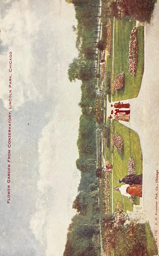 Flower Garden from Conservatory - Lincoln Park, Chicago - V. O. Hammon, Pub Co., Chicago -  1908 Postcard
