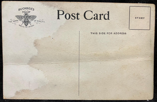 Growing Buckbee's Christmas King Cabbage on Rockford Seed Farms - Vintage Farm Postcard