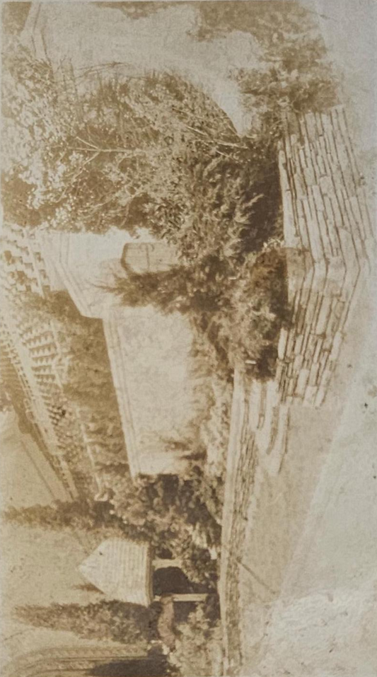 RPPC - Stadium Seats Overlooking Trees and Bushes in Park - Sepia Toned Photo Postcard - pre 1900 Photo - Unknown Location - Fabulous Architecture