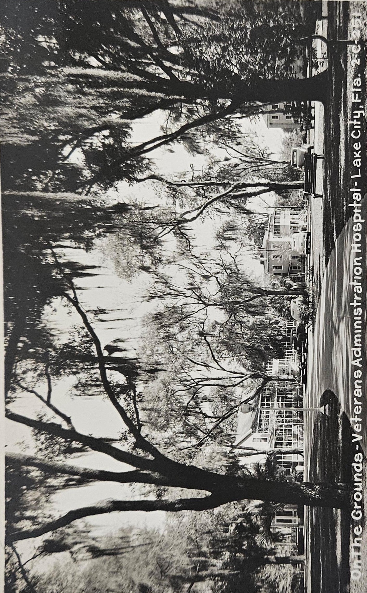 RPPC - Lake City Florida "On The Grounds Veterans Administration Hospital" Photograph by M. Cline, Chattanooga Tenn -realphotopostcard 1930s
