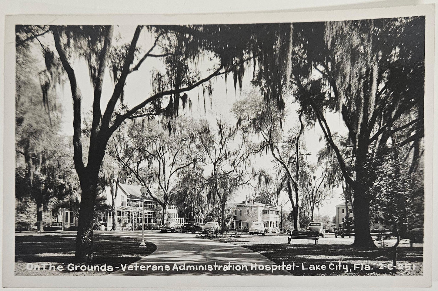 RPPC - Lake City Florida "On The Grounds Veterans Administration Hospital" Photograph by M. Cline, Chattanooga Tenn -realphotopostcard 1930s