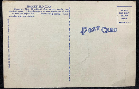 Kodiak Bears, Brookfield Zoo, Chicago, Illinois - Vintage Zoo Postcard