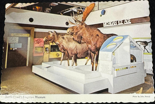 Kingman Museum - Battle Creek, Michigan - Vintage Postcard
