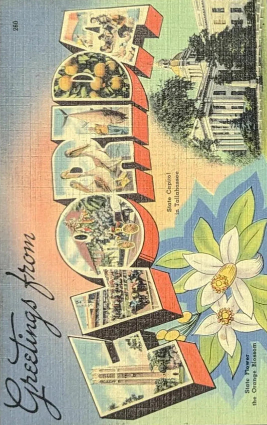 Greetings from Florida - Digital Print Download