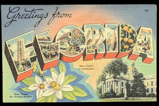 Greetings from Florida - Digital Print Download
