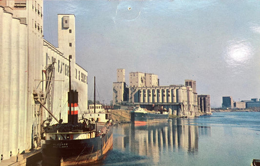 Grain Elevators at the Lakehead - Port Arthur and Fort William, Ontario, Canada - International Postcard
