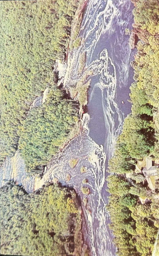 Lower Tahquamenon Falls, Michigan Vintage Postcard