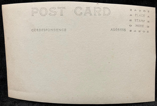 RPPC - Family at the Beach with Dog in the 1920s, Photo found in MIchigan - Real Photo Postcard